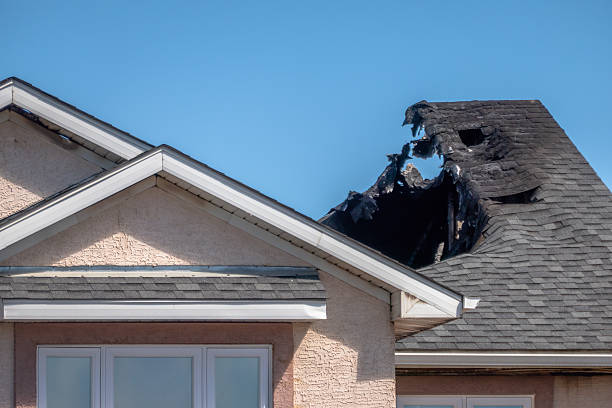 Licensed Odor Removal service in Burlington, WA - Fire Damage Biloxi